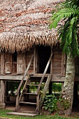 Steps leading up to wooden stilt house with thatched roof in tropical setting