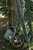 Watering can and basket next to ladder below tree