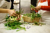 Women sorting various herbs in kitchen