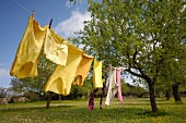Clothes hanging on clothesline in garden
