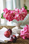 Pink flowers and plums