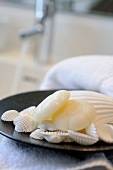 Soap and decorative seashell