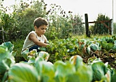 Kind sitzt vor Gemüsebeet im Garten