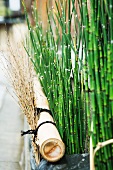 Beet mit Bambuspflanzen
