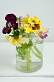 Colourful pansies in water glass