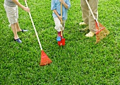 Adult and two children standing in yard with rakes and shovel, low section
