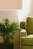 Green Arm Chair and Potted Plant