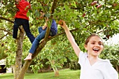 Children playing in fruit tree in meadow