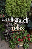Aphorism in metal letters and potted plants in courtyard