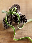 Pinecones tied with a green ribbon