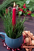 Red candle and pine twigs in a blue cup