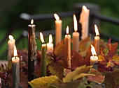 Brennende Kerzen zwischen Blättern auf Tisch im Freien