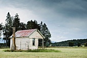 Abandoned House in Field