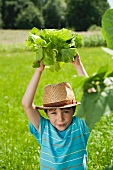 A boy in a garden holding a lettuce above his head