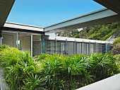 Fläche mit kleinen Palmen im Innenhof eines eingeschossigen Wohnhauses im internationalen Stil