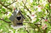 Bird box hanging in blossoming fruit tree