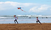 Father and son flying kite on beach