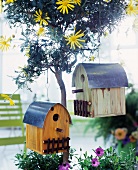 Bird house hanging on a small tree with yellow flowers