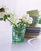 White anemones in a glass in front of a stack of plates