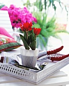 Rote Tulpen im Topf und Gartenschere auf weißem Vintage Holztablett