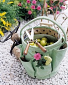 Secateurs and gardening bag filled with apples on white gravel