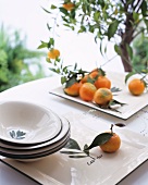 Mandarin oranges with leaves on a tray with a small tree in the background