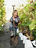 Boy with shovel in green house