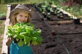Kleines Mädchen mit Gemüsepflanzen vor den Beeten