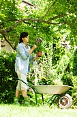 Frau mit Schubkarre im Garten