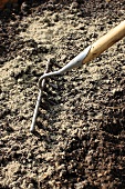 Working sand into the soil with a rake
