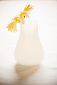 Yellow Flower in a Translucent Vase