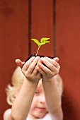 Little girl holding a seedling in a lump of soil