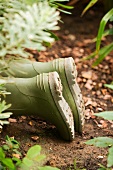 A pair of gardeners boots