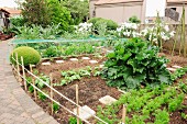 Neat vegetable patch in front of house
