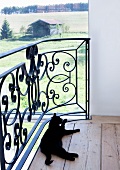Black cat washing itself on gallery with panoramic view of rural surroundings