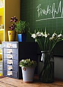 Bouquet and house plants on metal office cabinet in front of green chalkboard