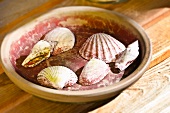 Shells in a dish