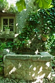 Vintage fountain with waterspout on climber-covered facade of rustic farmhouse
