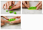 Split-open pods of peas being crafted out of modelling clay