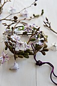 Wreath of alder catkins and hyacinth florets