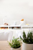Käseglocke, Kuchenplatte und Tütenschale auf Ablage, Tisch mit Kräutern unscharf im Vordergrund
