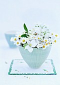 Daisies, apple blossom and sweet woodruff flowers in ceramic bowl on embroidered doily