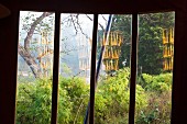 View through window into tropical garden