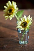 Two Small Sunflowers in a Glass Vase on a Table