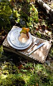 Wild mushroom and autumn leaf in dish on wooden stool with decorative rivets on sunny, mossy woodland floor