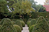 Gardens with topiary box bushes
