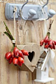 Bunches of rosehips, wooden heart and ornamental bird box hanging on hooks on wooden wall