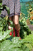 Woman wearing wellingtons standing on allotment