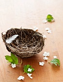 Feather and flowers with birds nest