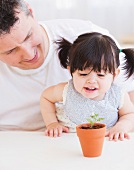 Baby girl (12-17 months) with father watching seedling in pot